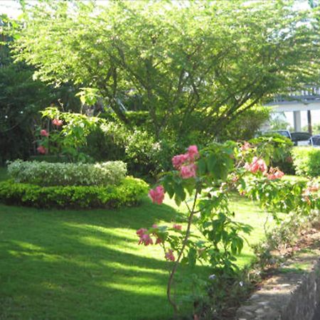 Paradise Brandon Hill Guest House 蒙特哥贝 外观 照片