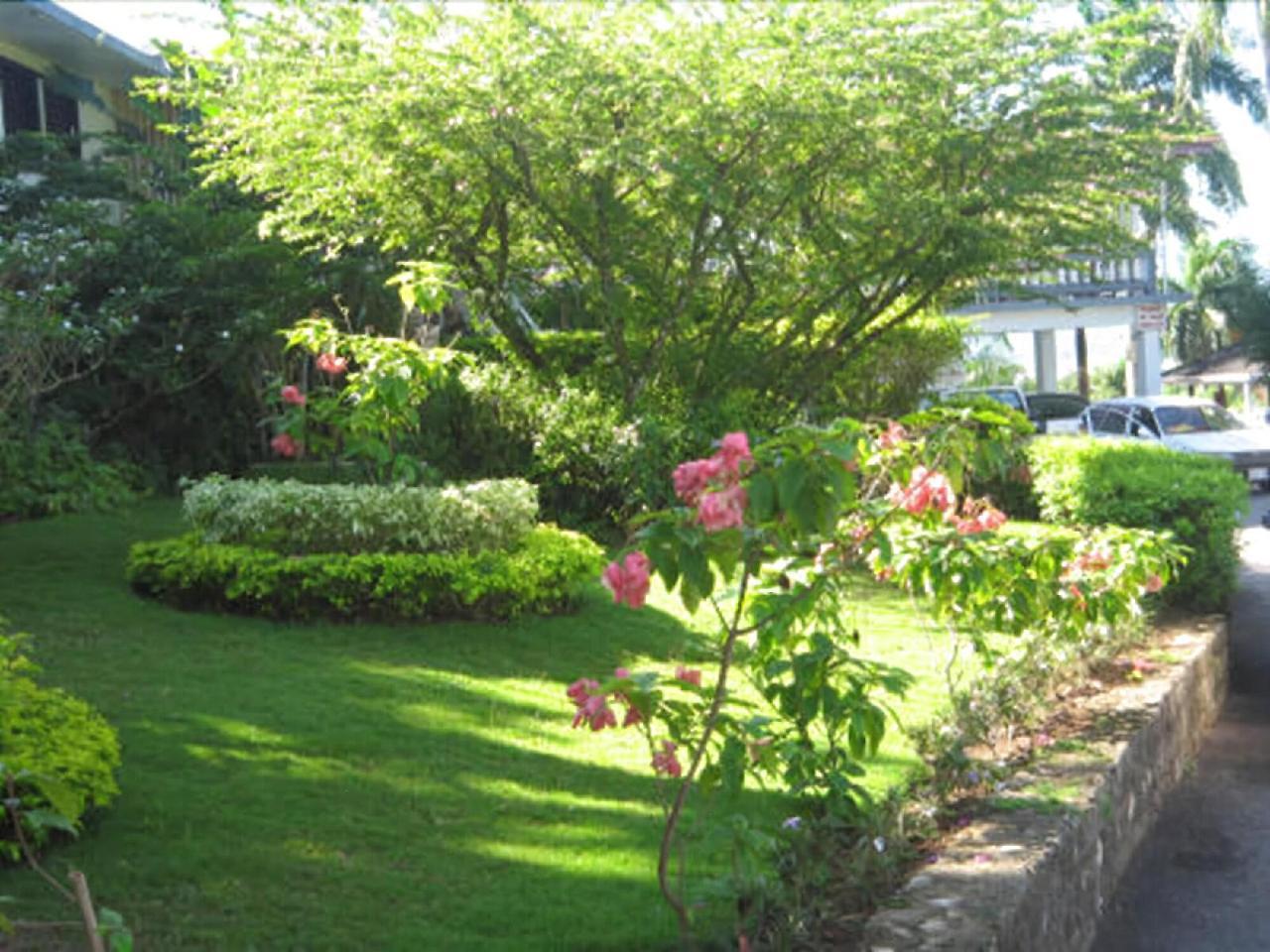 Paradise Brandon Hill Guest House 蒙特哥贝 外观 照片